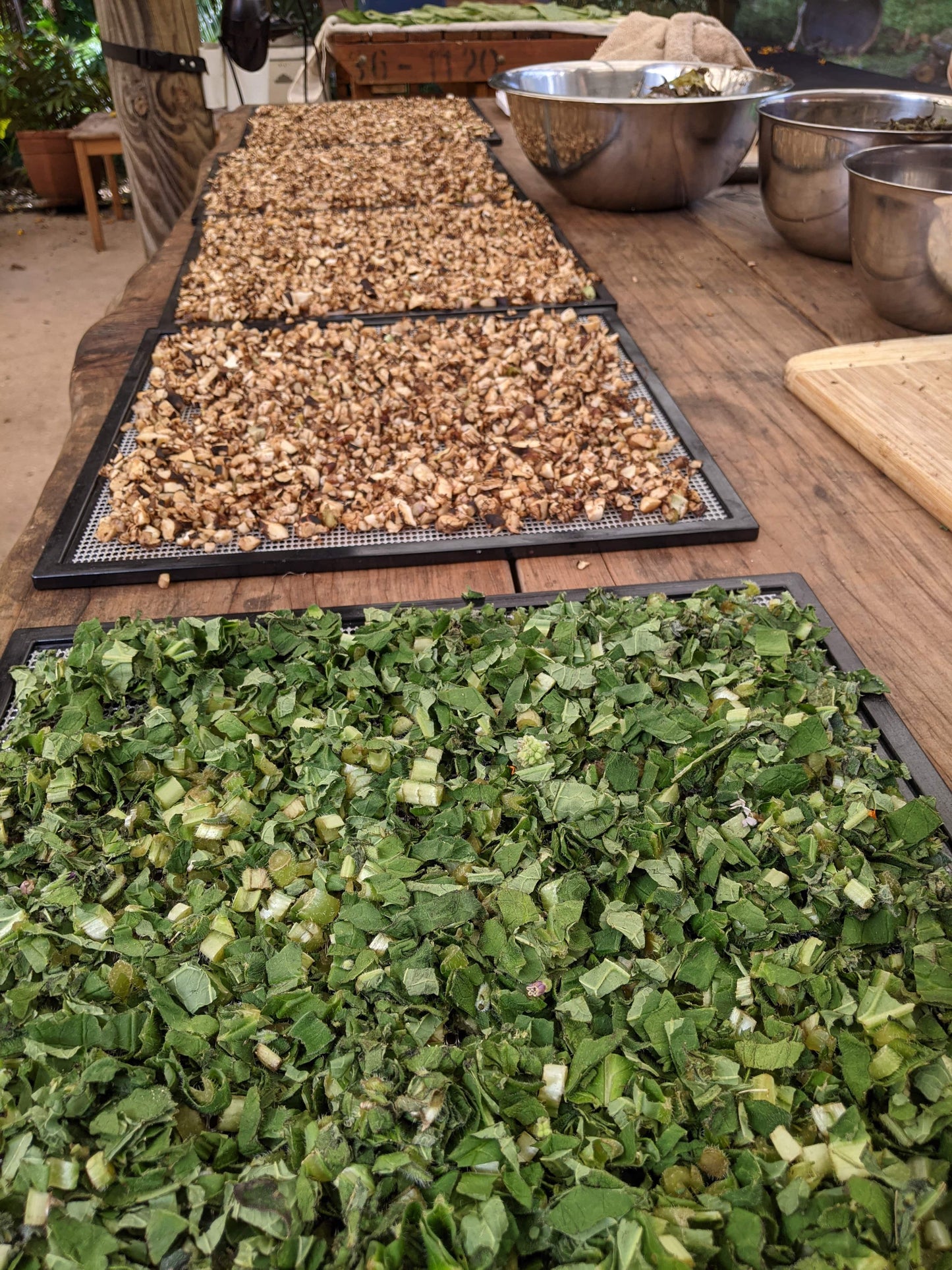 comfrey leaf and root drying